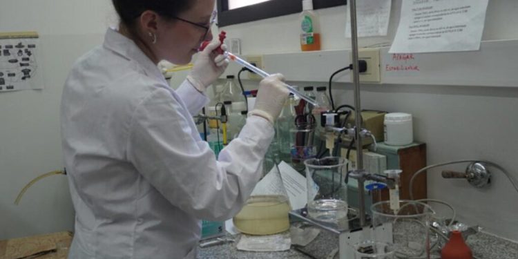 Dengue: se expande la resistencia de los mosquitos a los insecticidas