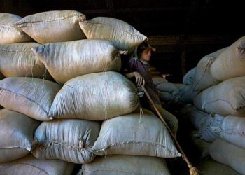 El paro yerbatero siembra dudas sobre la cosecha 2025