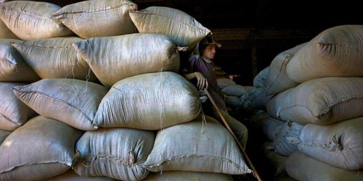 El paro yerbatero siembra dudas sobre la cosecha 2025