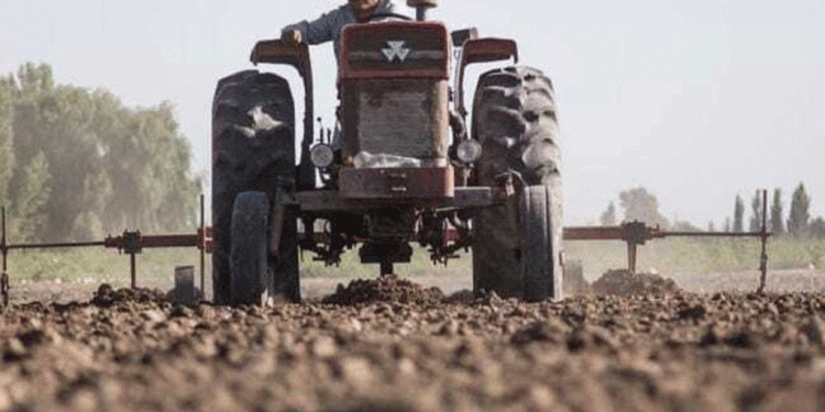 El vaciamiento avanza para la agricultura familiar, campesina e indígena