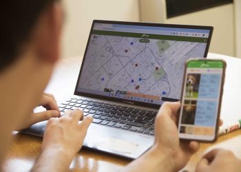En La Plata desarrollan una web para la búsqueda y adopción de mascotas