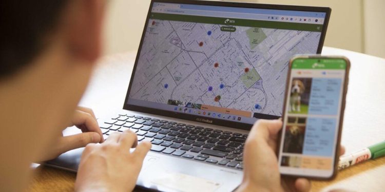 En La Plata desarrollan una web para la búsqueda y adopción de mascotas