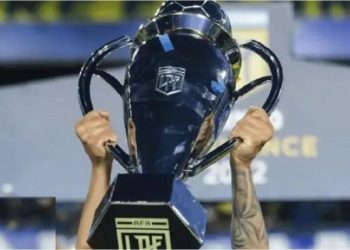 La Liga Profesional eligió al equipo ideal del fútbol argentino: quiénes son los elegidos y las sorpresas