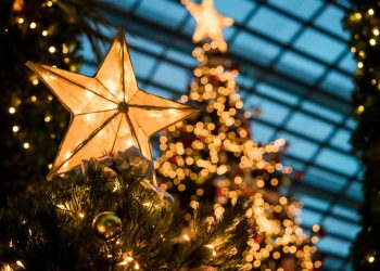 Los mejores colores para utilizar en Navidad, según la Inteligencia Artificial