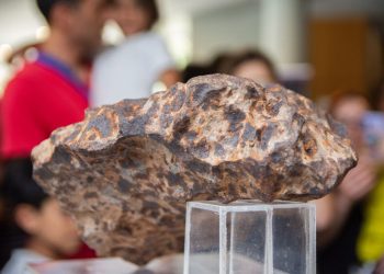Presentaron un meteorito de más de 4 mil años en la Universidad Nacional de La Plata
