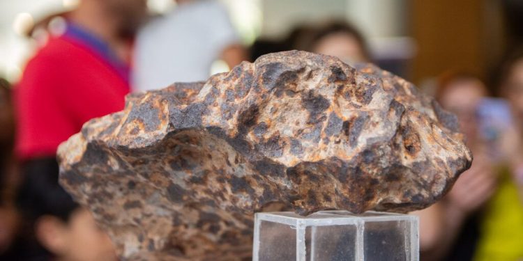 Presentaron un meteorito de más de 4 mil años en la Universidad Nacional de La Plata
