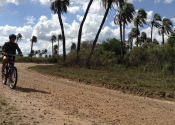 Colón, Entre Ríos: termas, palmeras y carnavales para pasar el verano