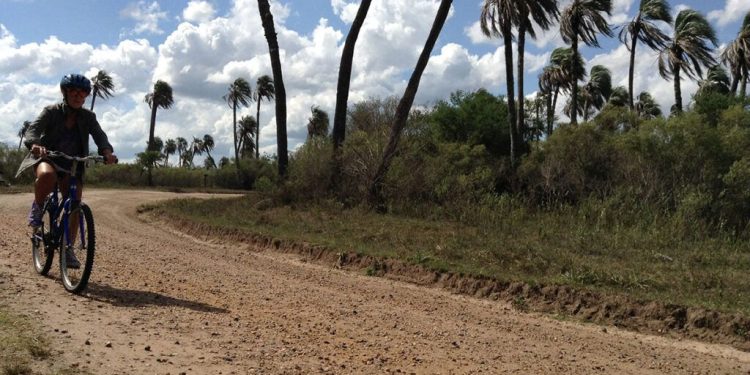 Colón, Entre Ríos: termas, palmeras y carnavales para pasar el verano
