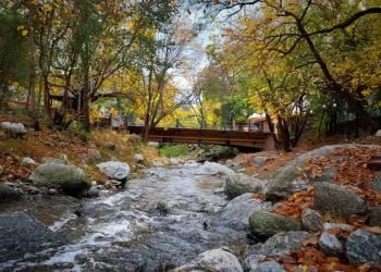 Esta es la mejor provincia de Argentina para vivir en 2025, según la Inteligencia Artificial