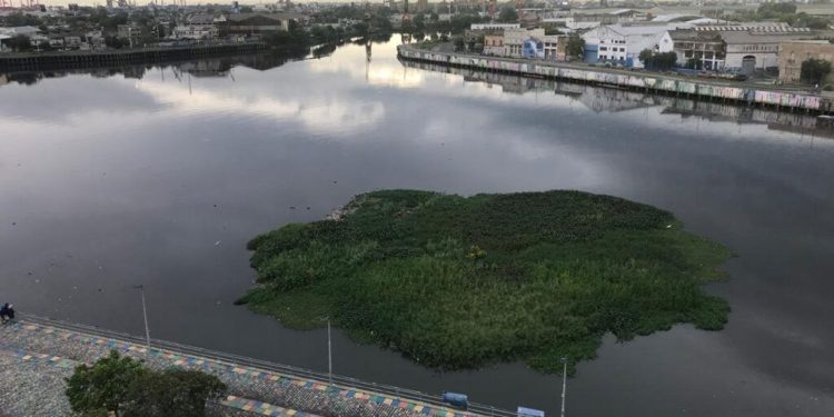 La posibilidad de una isla