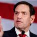 Marco Rubio se reunió con la oposición de Venezuela y reconoció a Edmundo González Urrutia como “presidente legítimo”