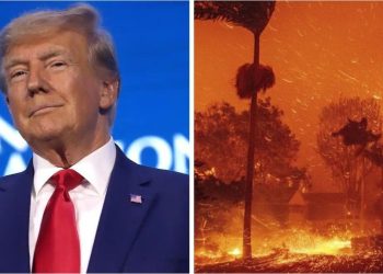 Mientras avanzan los incendios en Los Ángeles, Donald Trump tildó a las autoridades locales de “incompetentes”