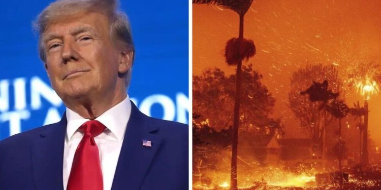 Mientras avanzan los incendios en Los Ángeles, Donald Trump tildó a las autoridades locales de “incompetentes”