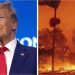 Mientras avanzan los incendios en Los Ángeles, Donald Trump tildó a las autoridades locales de “incompetentes”