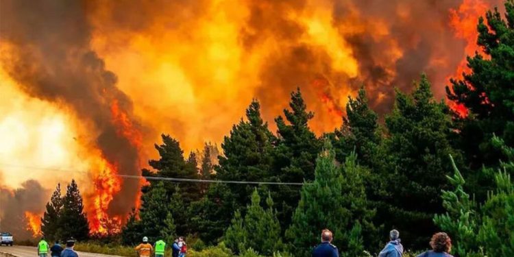 Parques Nacionales, entre el fuego y el ajuste libertario