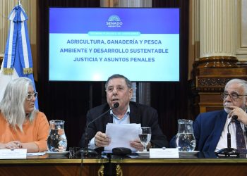 Senado: Alfredo De Ángeli asumirá como presidente del bloque del PRO