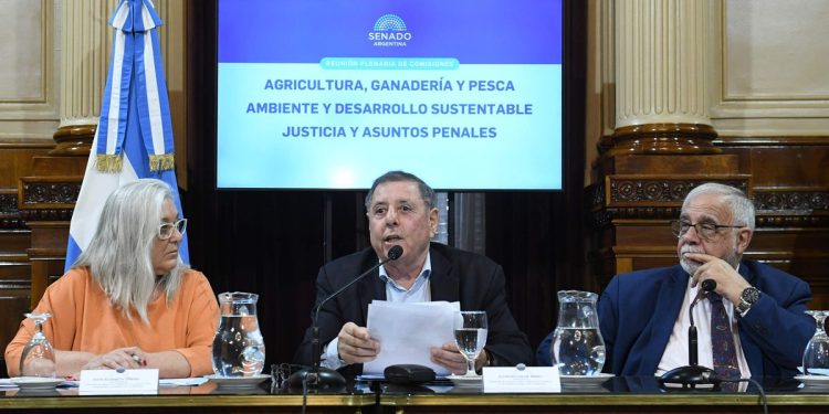 Senado: Alfredo De Ángeli asumirá como presidente del bloque del PRO