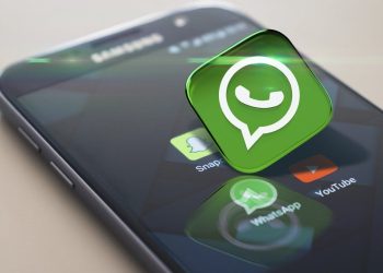 WhatsApp: cómo encontrar la papelera con conversaciones y archivos
