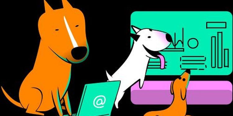 WhyW8t apuesta por la inteligencia artificial en Argentina con Verloop.io