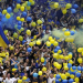 ¿Y si jugaban en Boca? Figuras mundiales que estuvieron a punto de vestir la camiseta Xeneize y terminaron en otros clubes