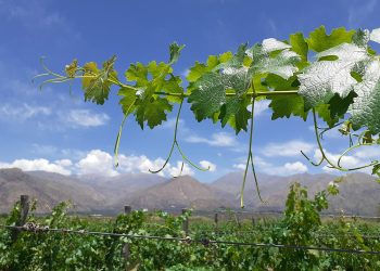 A brillar mi amor: propuestas en todo el país para San Valentín