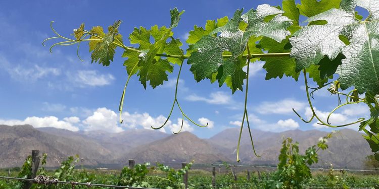 A brillar mi amor: propuestas en todo el país para San Valentín