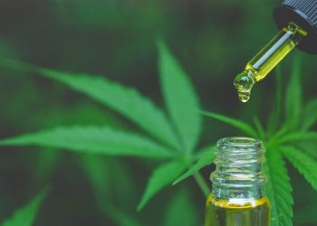 El Gobierno anunció que dará de baja 300 mil permisos del REPROCANN, el programa de cannabis medicinal