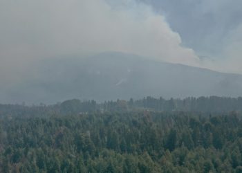 El otro efecto del fuego: cómo impactan los incendios en el turismo en El Bolsón