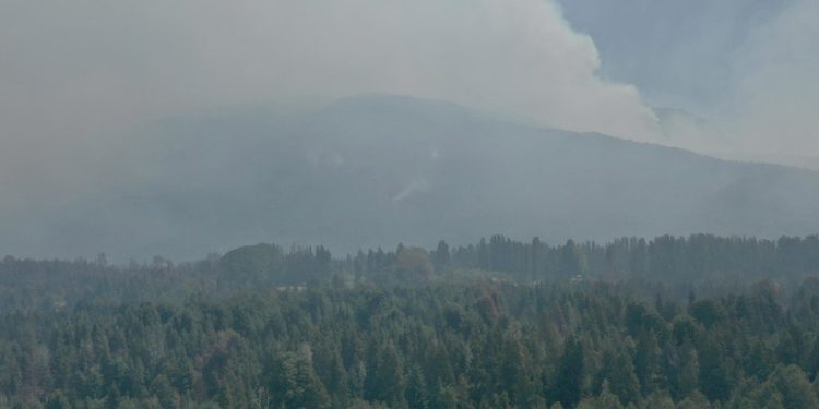 El otro efecto del fuego: cómo impactan los incendios en el turismo en El Bolsón