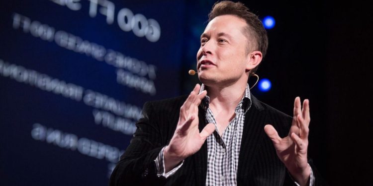 Elon Musk descartó interés en comprar TikTok, ¿Oracle va a la carga por la red social china?