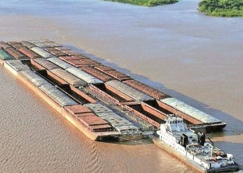 Las aguas bajan turbias en el Parana