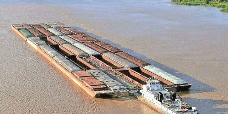 Las aguas bajan turbias en el Parana