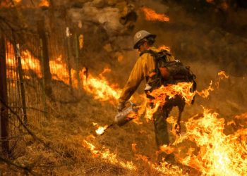 Incendios en California: una compañía eléctrica admitió su responsabilidad
