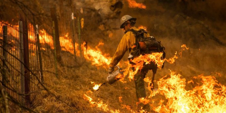 Incendios en California: una compañía eléctrica admitió su responsabilidad