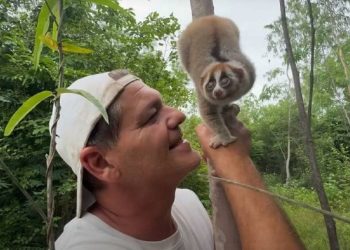 La policía de Tailandia detuvo a Frank Cuesta por posesión ilegal de especies protegidas