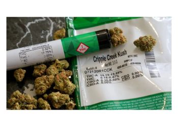 Organizaciones cuestionan la baja de los permisos del REPROCANN: “El autocultivo va en contra del narcotráfico”