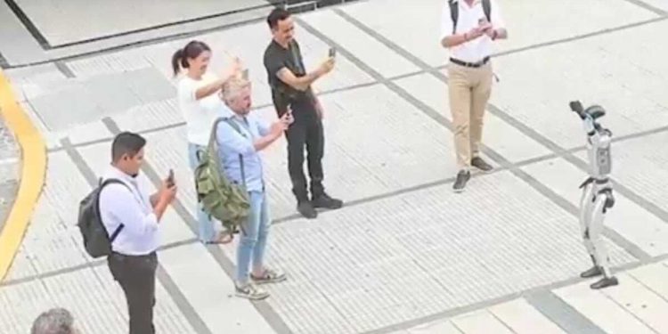 Puerto Madero: revuelo en las calles por la aparición de un robot humanoide