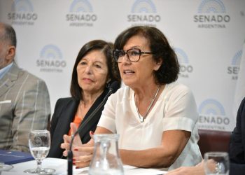 Silvia Sapag: «Buscan destruir bosques nativos para avanzar con las topadoras y seguir extranjerizando nuestras tierras»