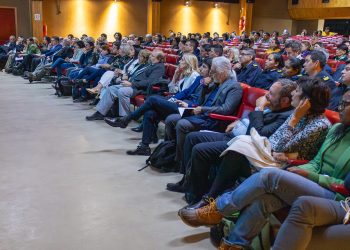 Taiana: «El Gobierno insiste en hacer todo lo contrario al interés nacional»