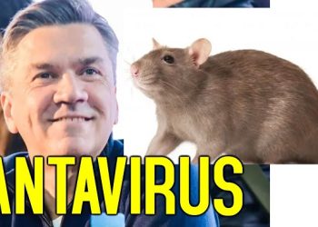 Sáenz Peña conmoción: confirman la muerte de una mujer por Antavirus, su marido en estado crítico