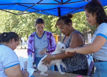 “La Muni te Cuida” visitó las 500 viviendas con servicios esenciales