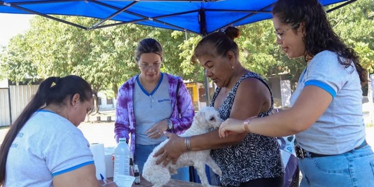 “La Muni te Cuida” visitó las 500 viviendas con servicios esenciales