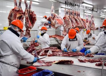 Mientras los argentinos no pueden comer un asado, denuncian que Milei abrió un negocio con la exportación de carne