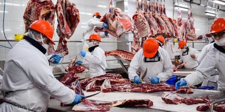 Mientras los argentinos no pueden comer un asado, denuncian que Milei abrió un negocio con la exportación de carne