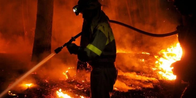 Devastadores tornados de fuego azotan Corea del Sur en medio de incendios forestales
