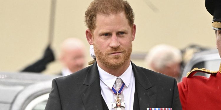 El príncipe Harry podría producir un documental personal sobre Diana narrado por él mismo