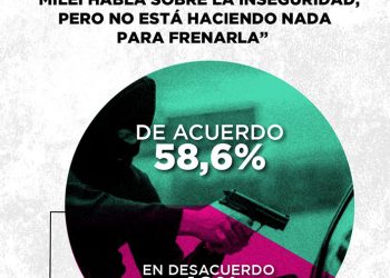 Frente a un ajuste social sin freno, la preocupación por la inseguridad empieza a escalar en las encuestas