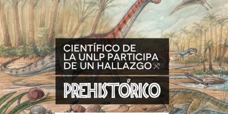 Investigadores nacionales descubren una nueva fauna que habitó hace 75 millones de años el sur argentino