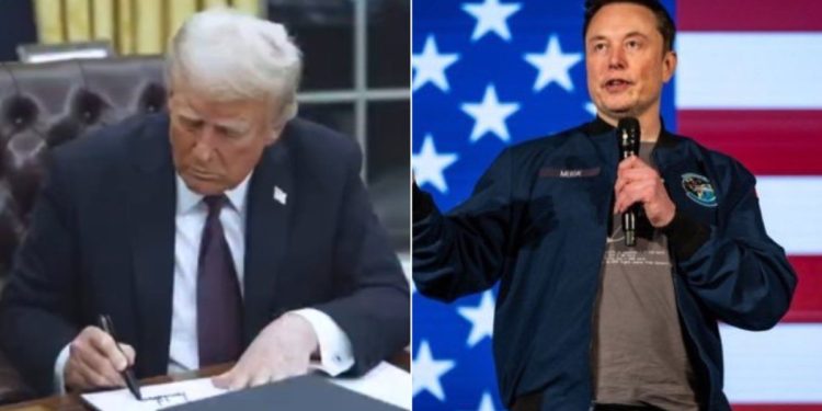 La difícil posición de Donald Trump frente al malestar en su gobierno por los recortes que impulsa Elon Musk