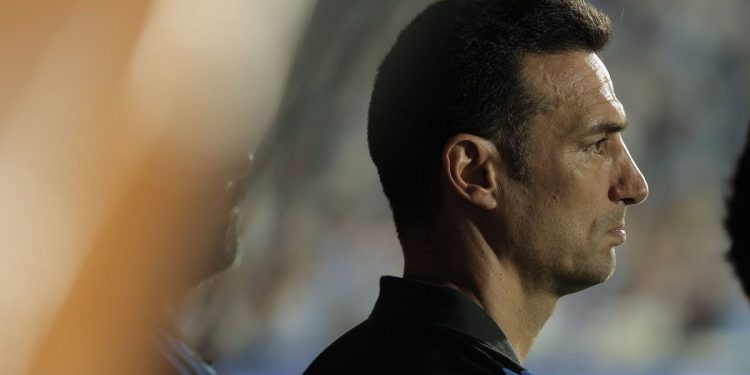Lionel Scaloni, entre la cautela por el Mundial y el “gol hermoso” de Almada
